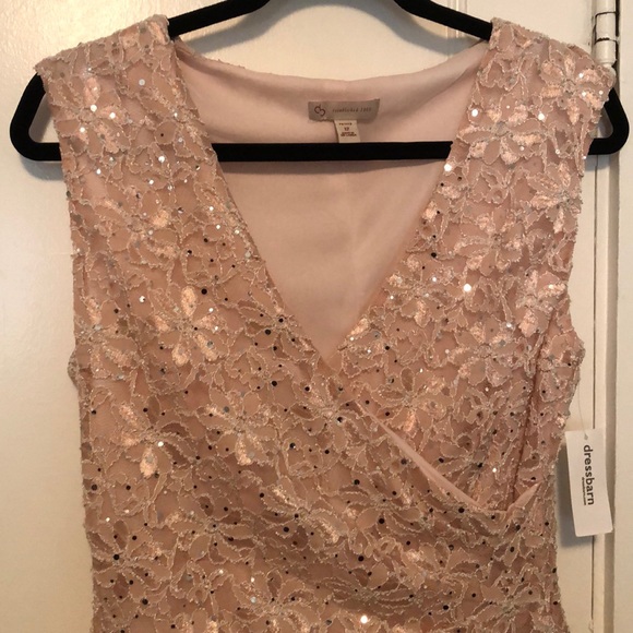Lace Pink Dress floral detail and silver sequins - Picture 5 of 5